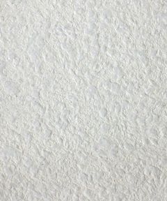 Liquid wallpaper Bioplast Miranda 207