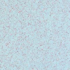 Liquid wallpaper Ekobarvi 5.02 Glitter