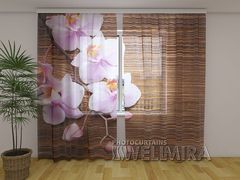 PhotoTulle Orchids and tree