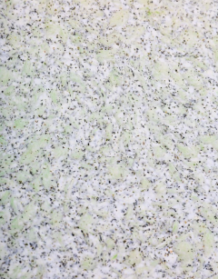 Liquid wallpaper Bioplast 1034