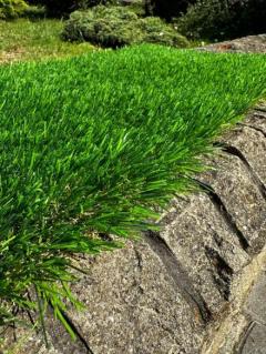 Artificial turf Land Grass 40
