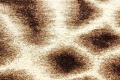 Килим Ворсистий килим Majesty 2942a ivory brown