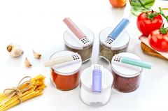 Set of containers for spices (5 pcs) Boxup FT-050 32x7 cm