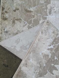 Дорожка Odessa 0140EB poly beige crem dor