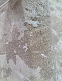 Дорожка Odessa 0140EB poly beige crem dor