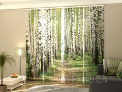 Panel curtain Birch forest