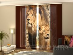 Panel curtain Lions