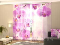 Panel curtain Star Orchid
