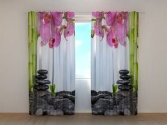 Orchids and bamboo