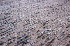 Килим Ворсистий килим Safaria-Spa-02 prairie sand