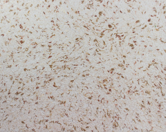 Liquid wallpaper Max Color 35-1