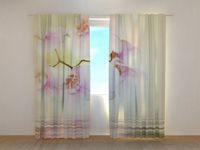 Photocurtain White Orchid