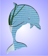 Mirror Dolphin