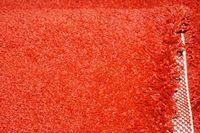 carpet Delicate red