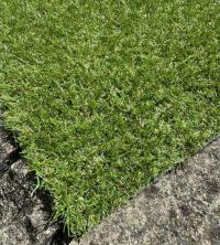 Land Grass 15
