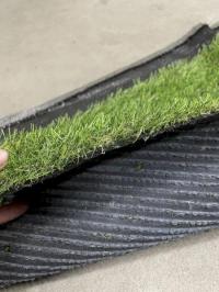 Land Grass 20