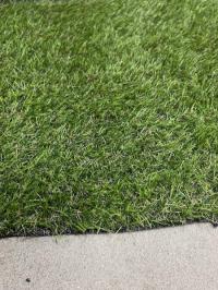 Land Grass 20