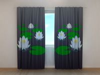 Photocurtain of Lily