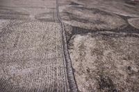 carpet Miami Shrink ai35a dbeige vizon