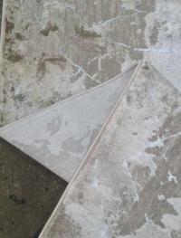 Odessa 0140EB poly beige crem dor