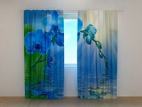Photocurtain Orchid