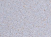 Cotton wallpaper Poldecor 25-5