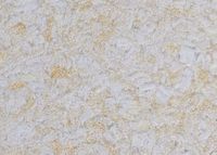 Cotton wallpaper Poldecor 28-6