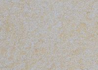 Cotton wallpaper Poldecor 31-3