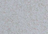 Cotton wallpaper Poldecor 31-6