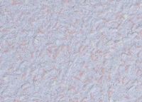 Cotton wallpaper Poldecor 6-3