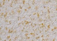 Cotton wallpaper Poldecor 6-5