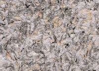Cotton wallpaper Poldecor 7-4