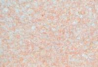 Liquid wallpaper Silk plaster Optima 055