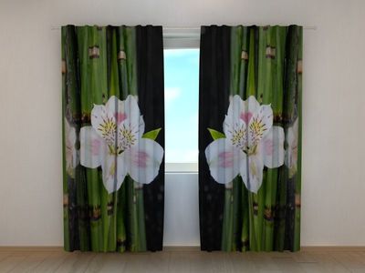Photocurtain White orchid and green bamboo