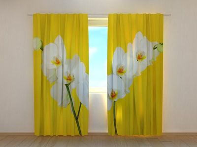 Photocurtain White orchids