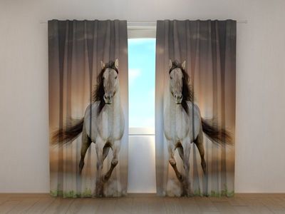 Photocurtain Two horses