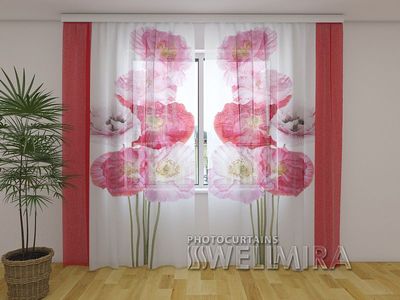 Photocurtain Tulle Scarlet song