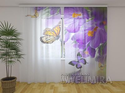 Photocurtain Tulle Crocuses and butterflies
