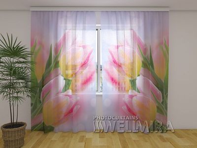 Photocurtain Tulle First tulips
