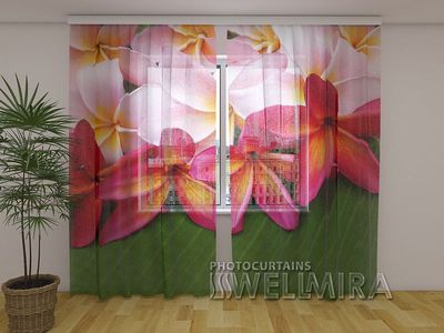 Photocurtain Tulle Tropical flowers