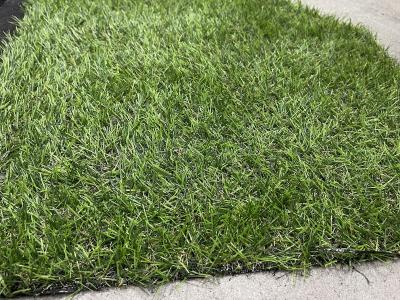 Land Grass 20