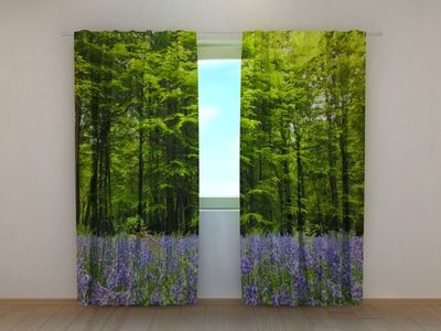 Photocurtain Forest 1