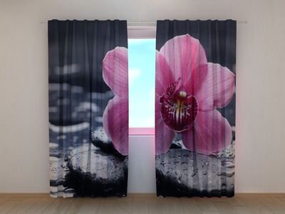 Photocurtain Orchid tenderness