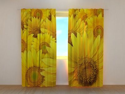Photocurtain Sunflowers