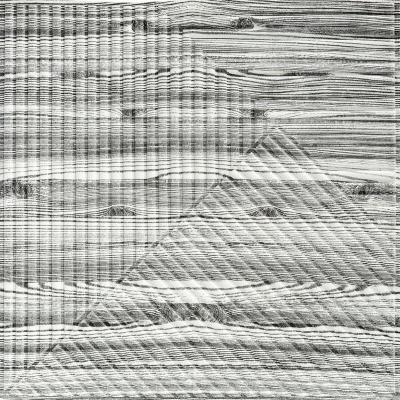 Self-adhesive 3D panel Sticker wall 500х500х5mm Bamboo Tree Zebra SW-00002884