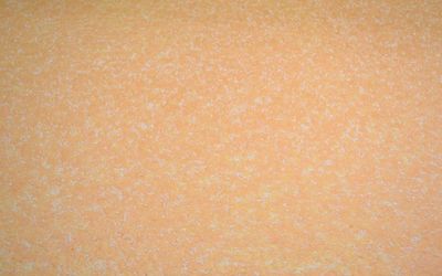 Liquid wallpaper Silk Plaster Provence 043