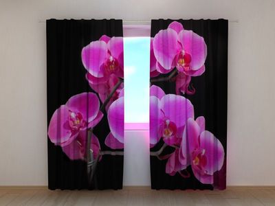 Photocurtain Orchid branch