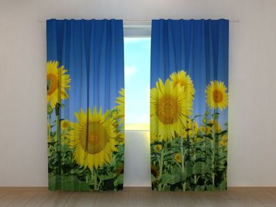 Photocurtain Bright sunflowers