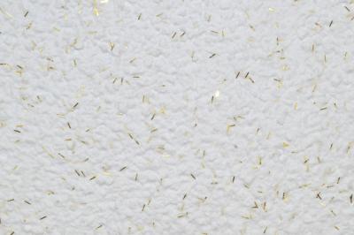 Liquid wallpaper Ekobarvi 1.11 Glitter