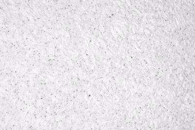 Liquid wallpaper Ekobarvi F-00 Fine